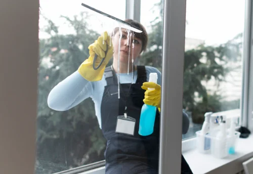 Nettoyage de vitres intérieures et extérieures à Fresnay-sur-Sarthe